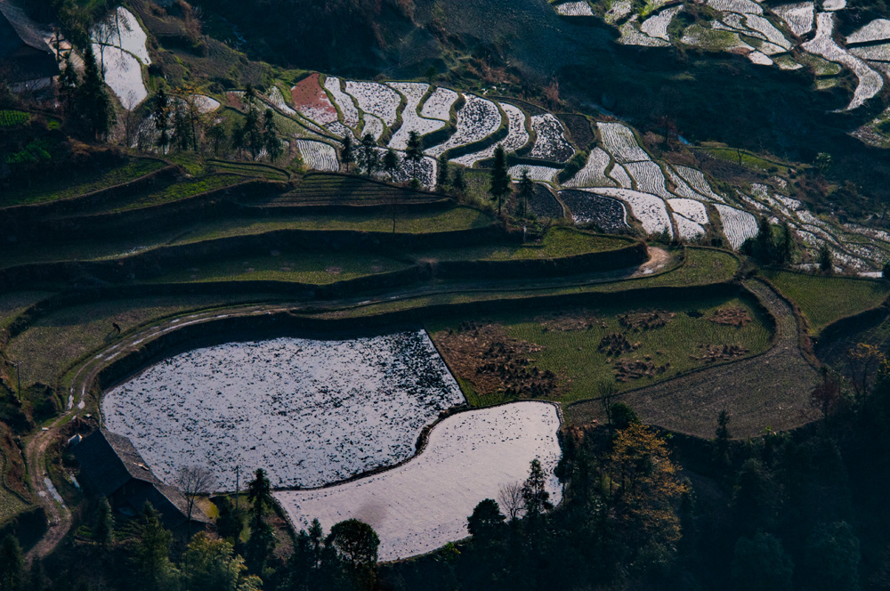 鞋底田园