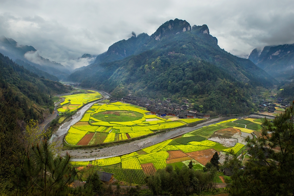 美丽田园