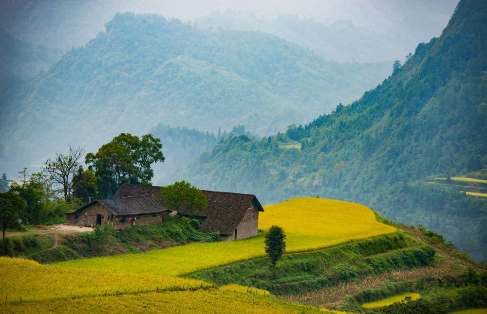 我家住田边