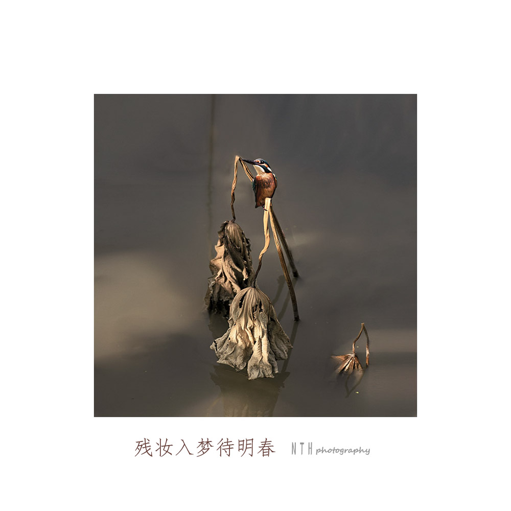 残妆入梦来