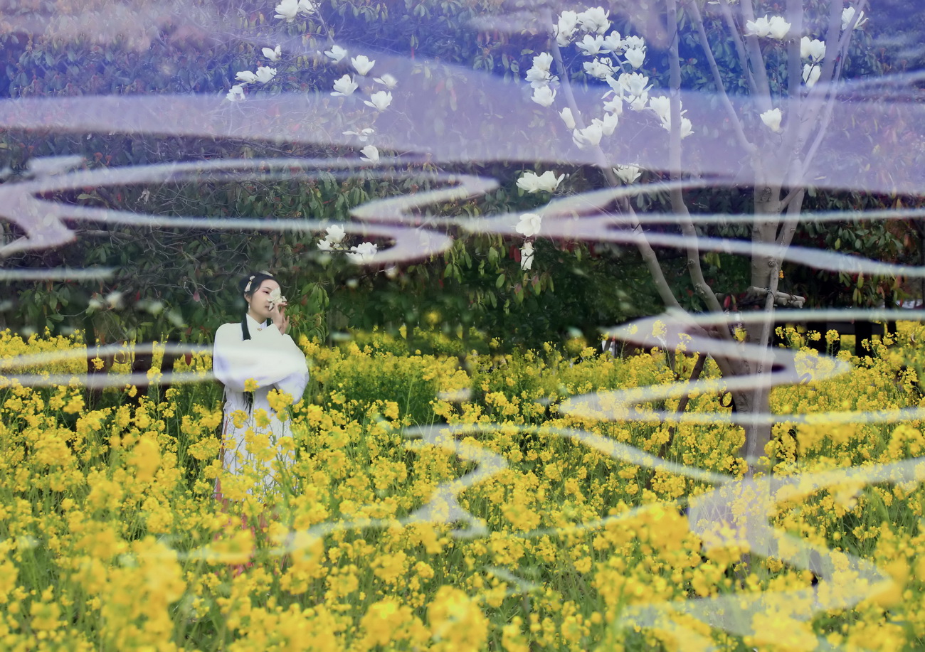 花海遐想
