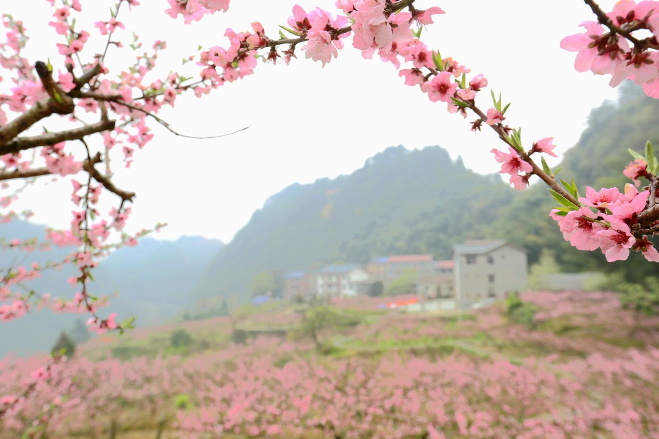 山村巨变