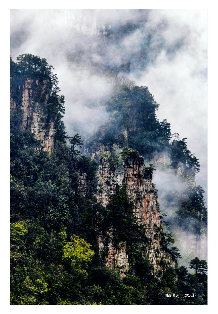 天子山风光