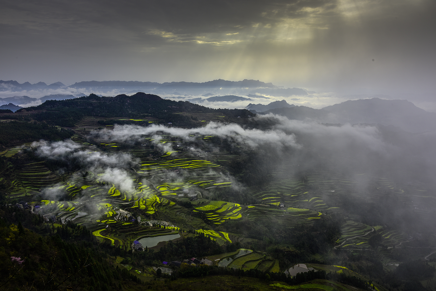 龙凤梯田