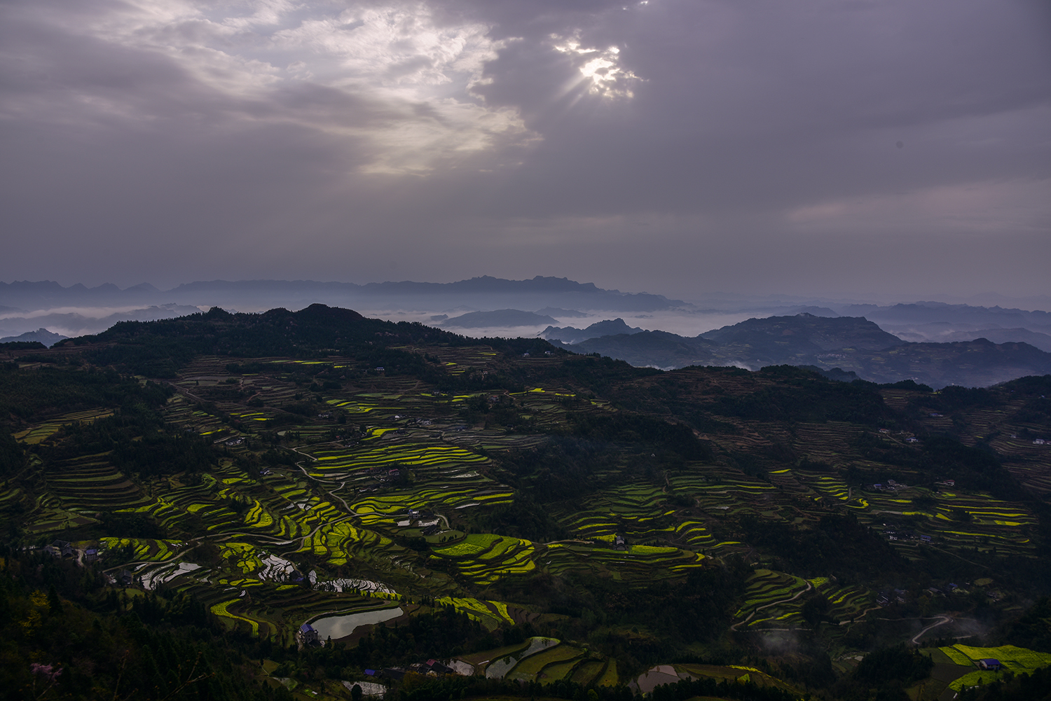 龙凤梯田