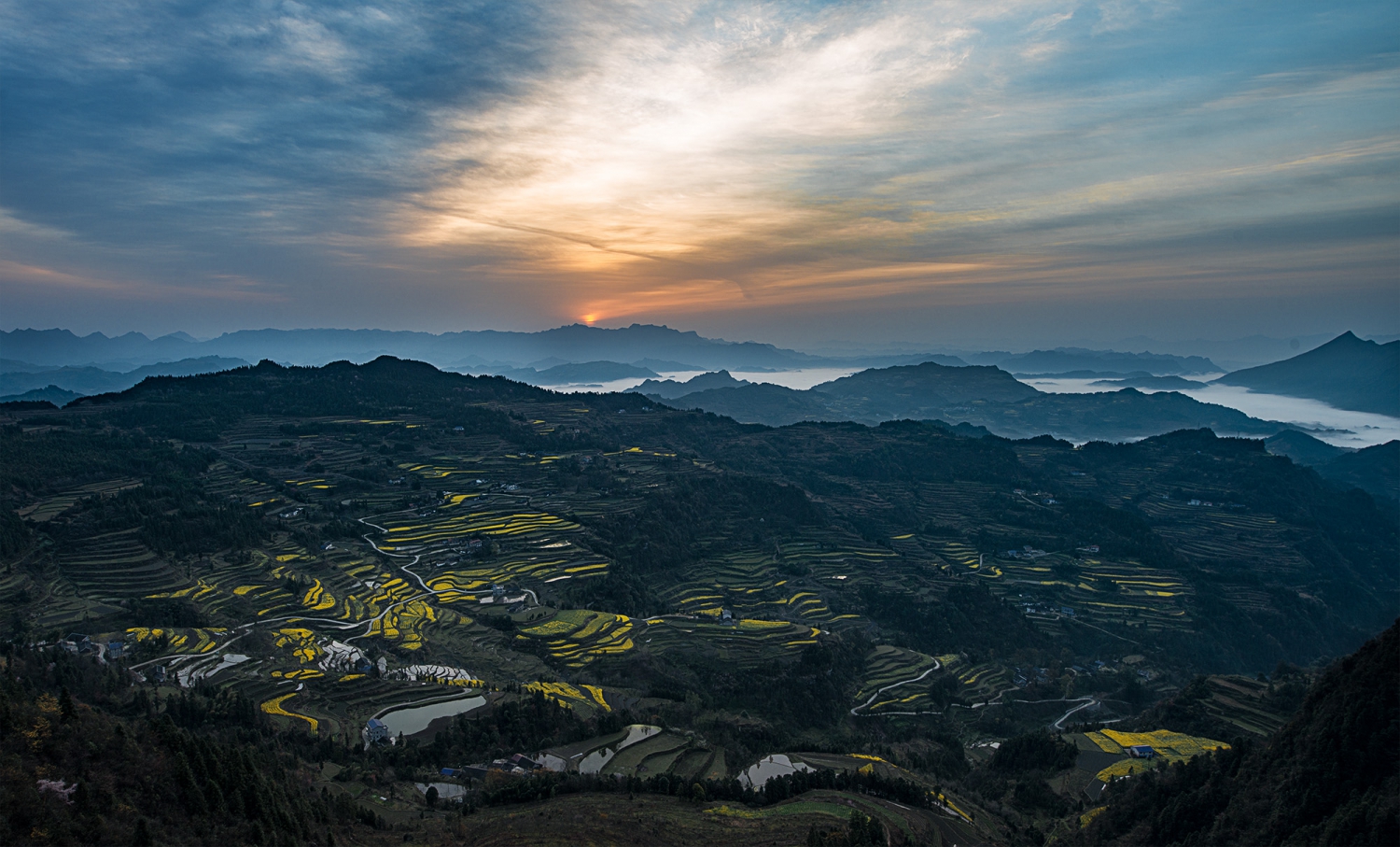 龙风晨曦