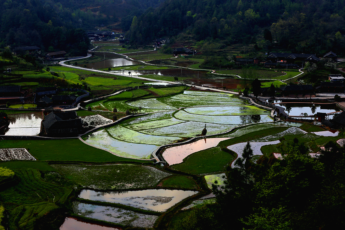 乡村小景2