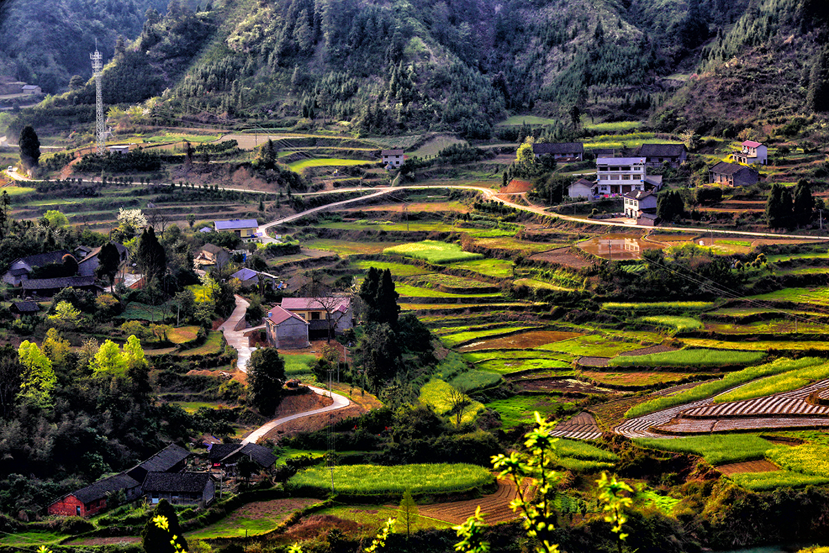 乡村小景3