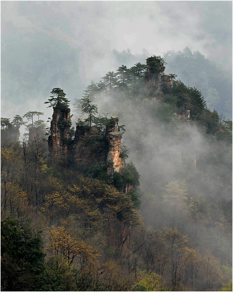 雨后天子山