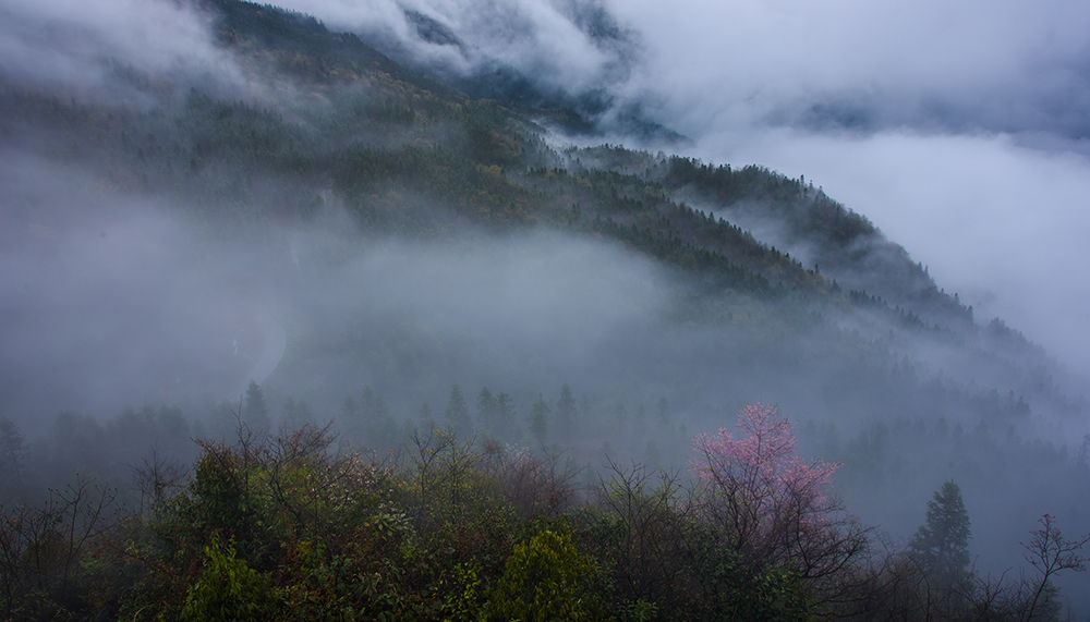 雾锁四门岩