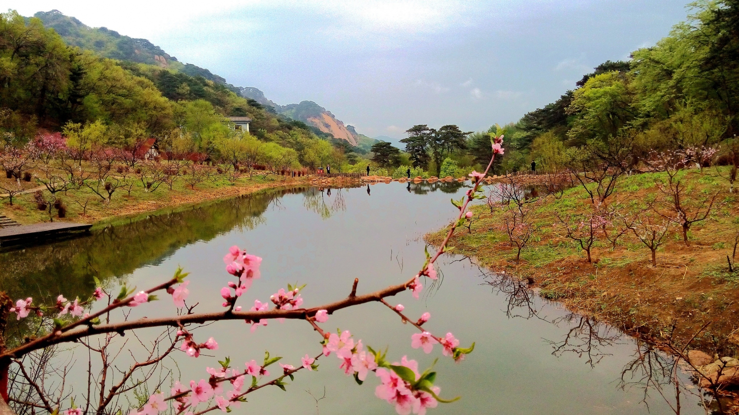 桃花溪谷