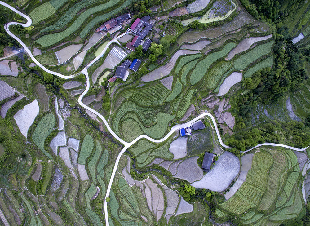 田园如画