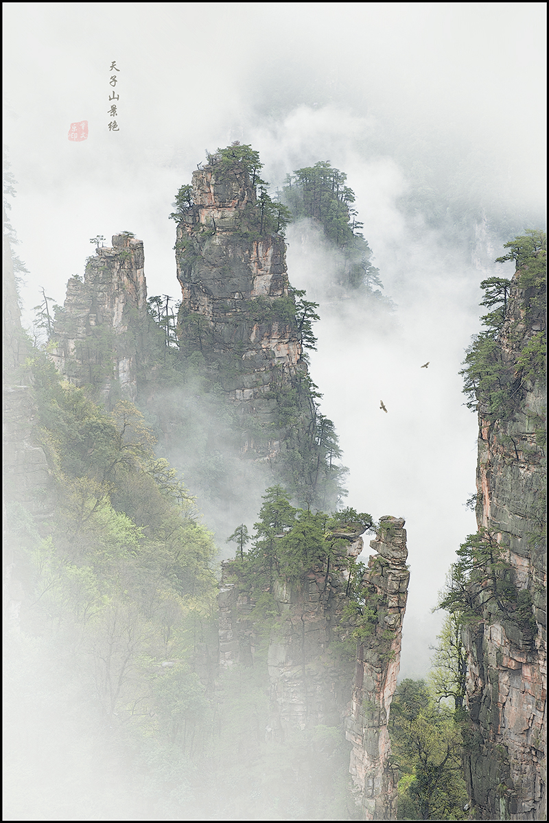 天子山景绝