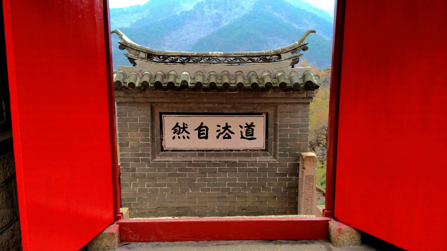 无题