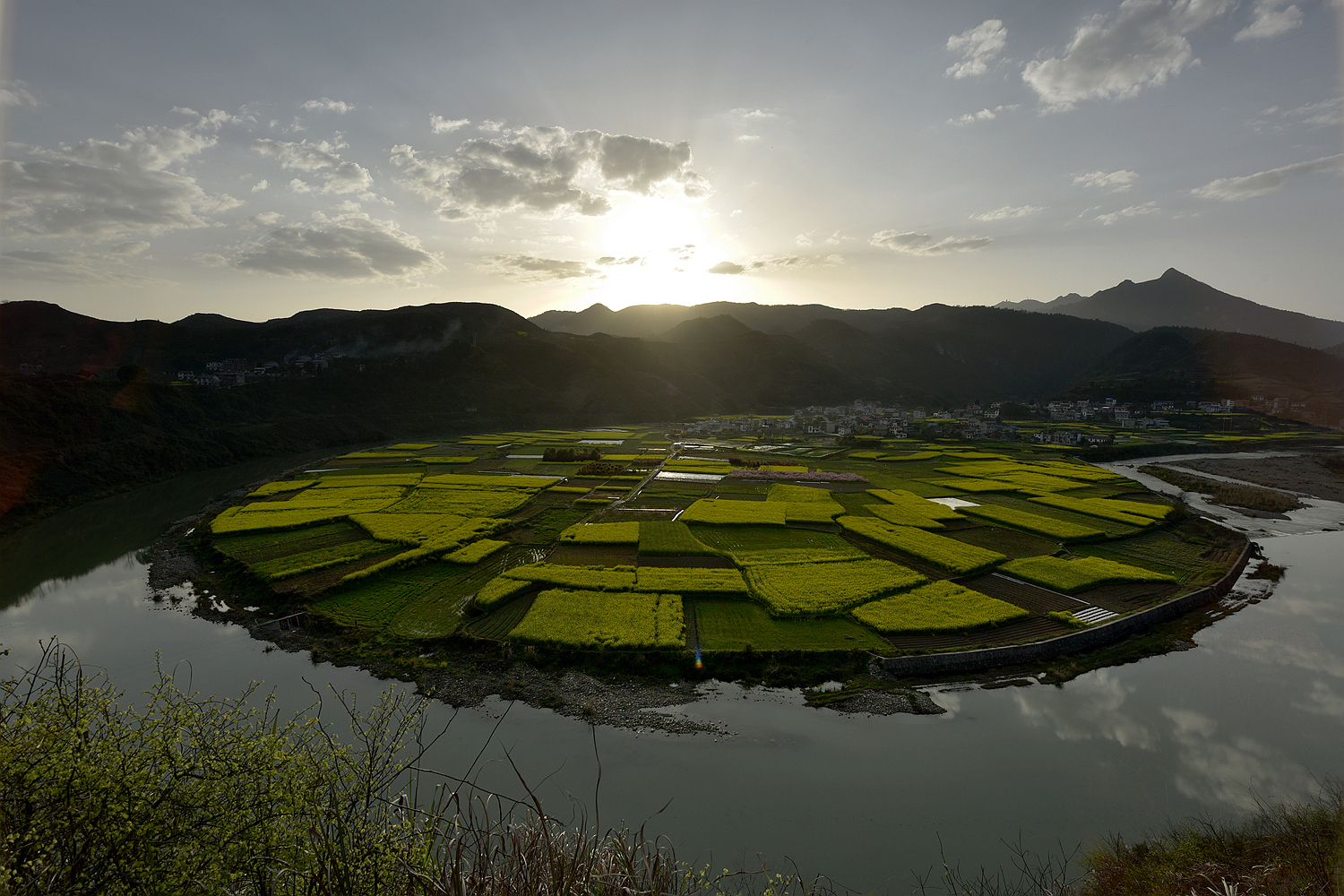 田 园
