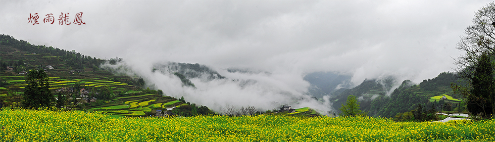 烟雨龙凤