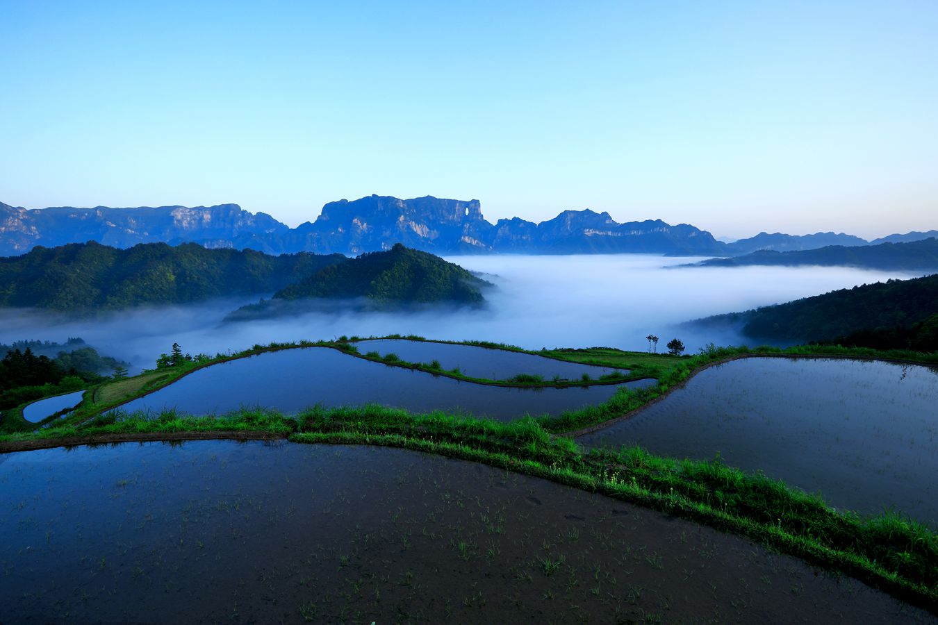 天门春翠