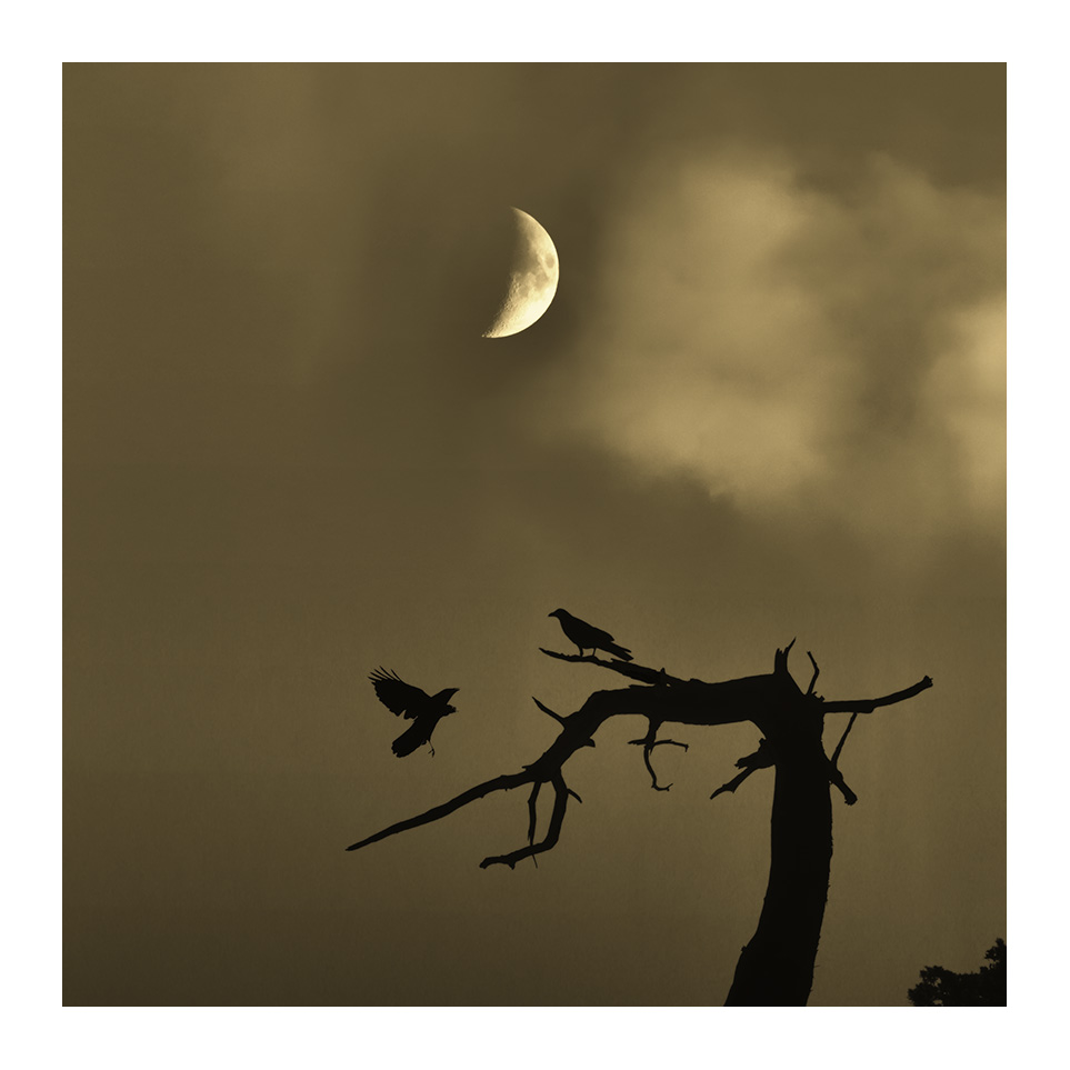 月夜
