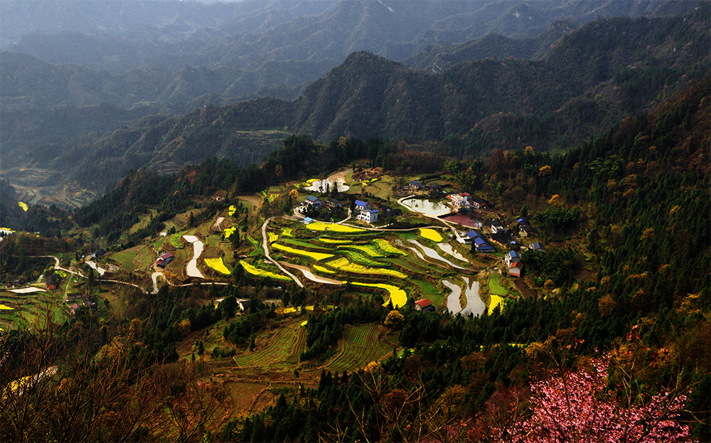 山后田园