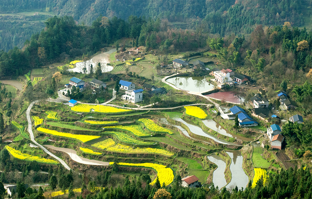 农家小院