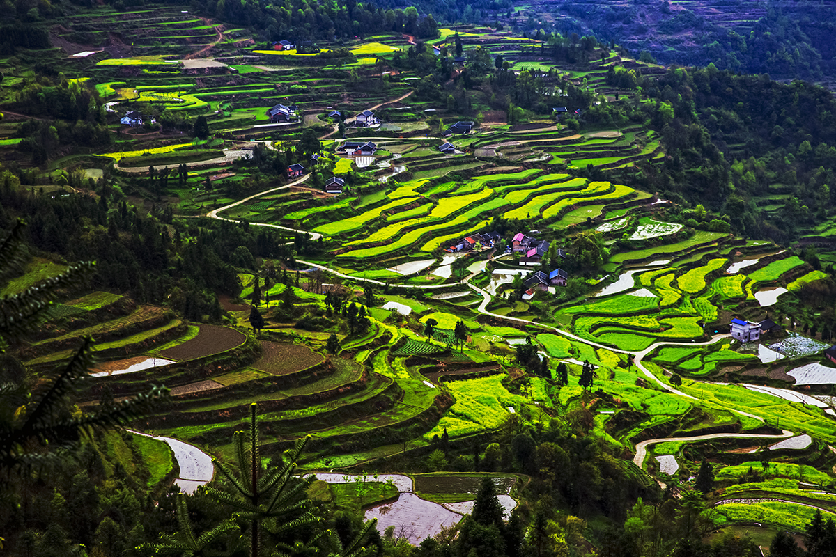 色版小景2