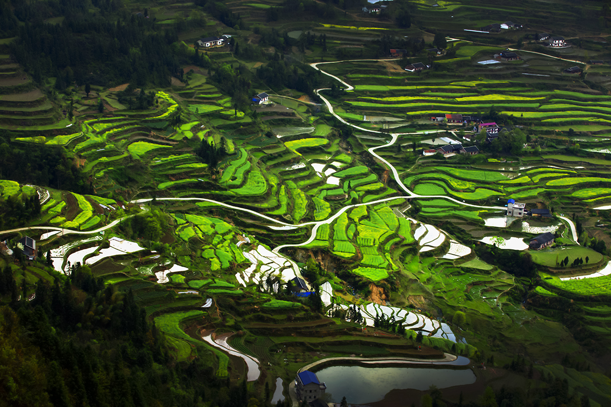 色版小景5
