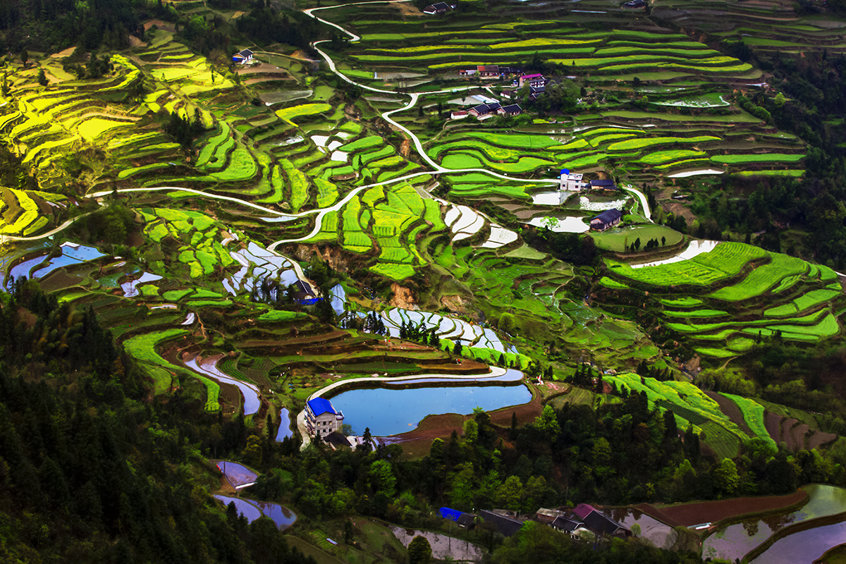 色版小景4