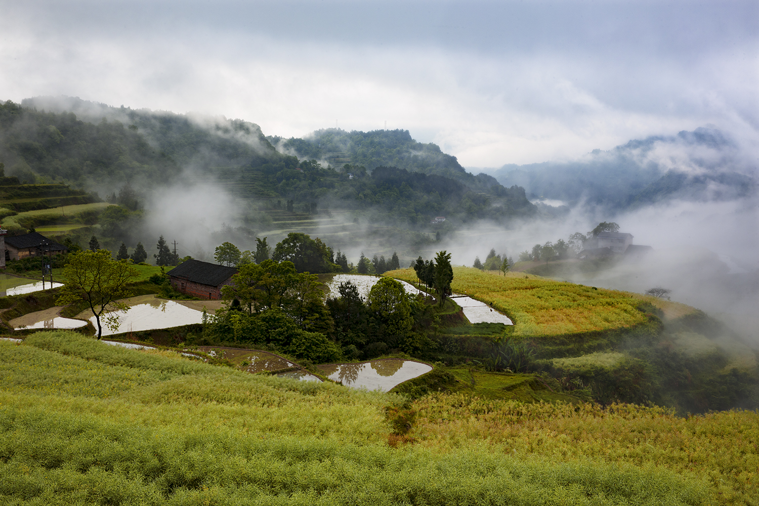 烟雨龙凤村