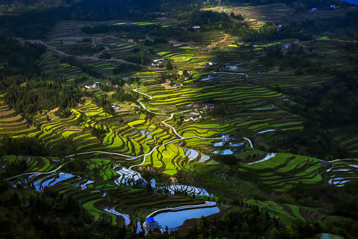 龙凤阴影图4