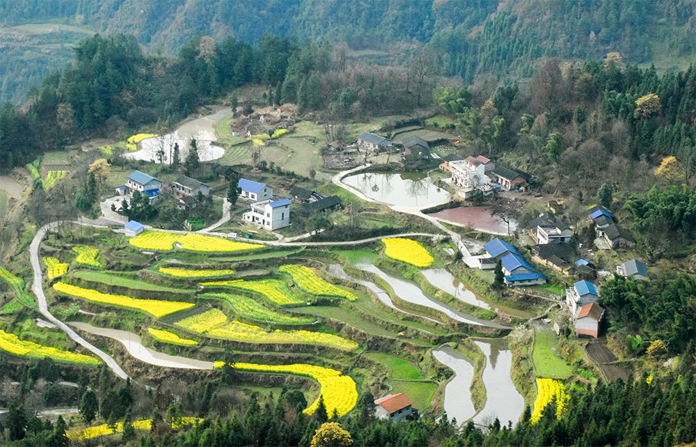 山后的田园风光