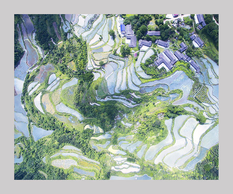 俯视家园