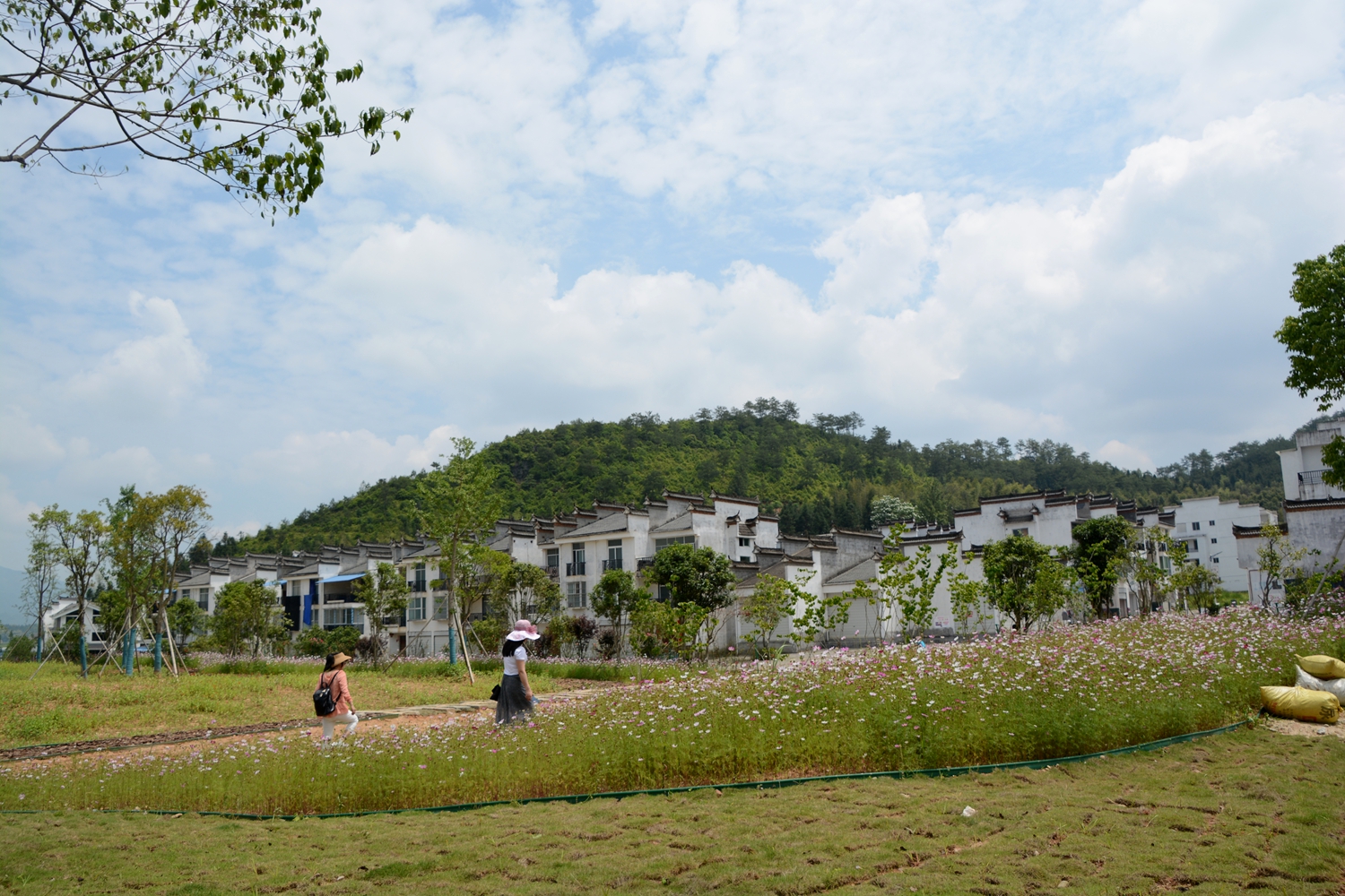 美丽新村