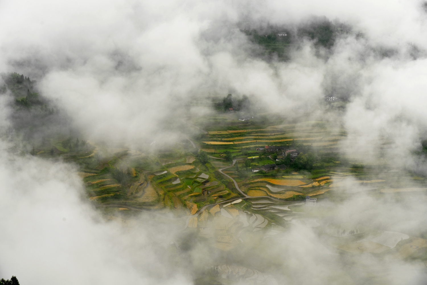空中田园
