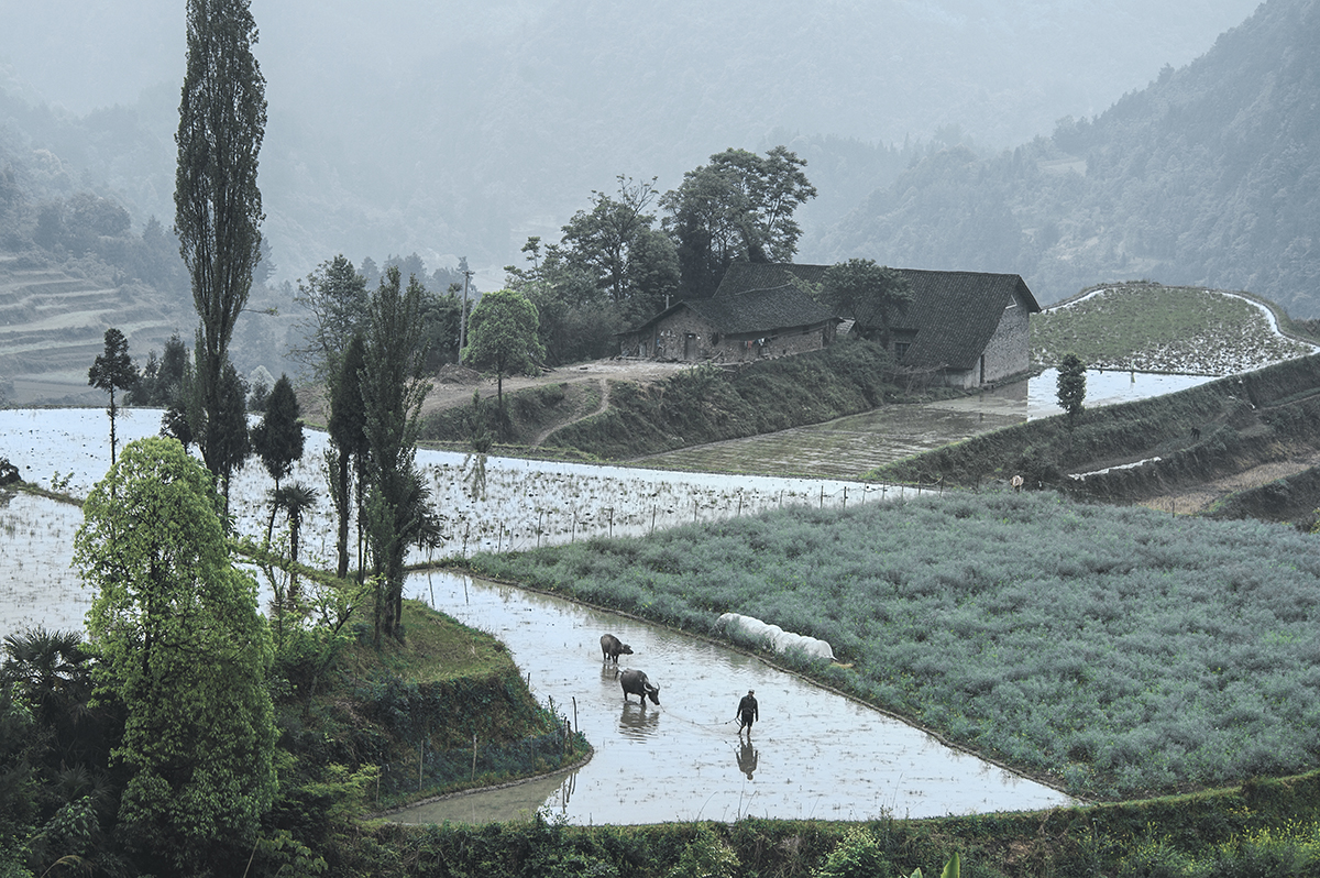 小景