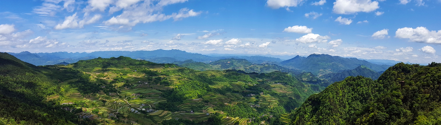 龙凤全景图