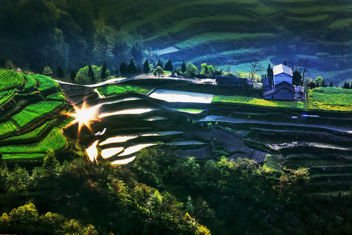 日照小景2