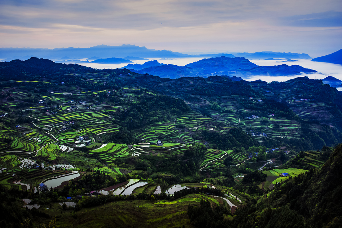 龙凤全景图3