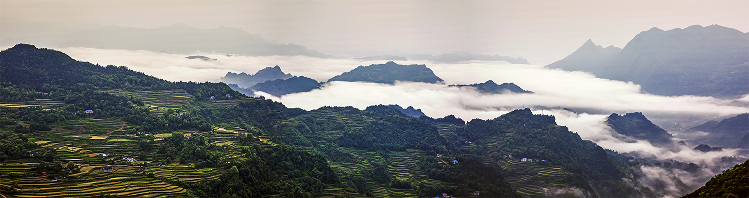 龙凤全景图2