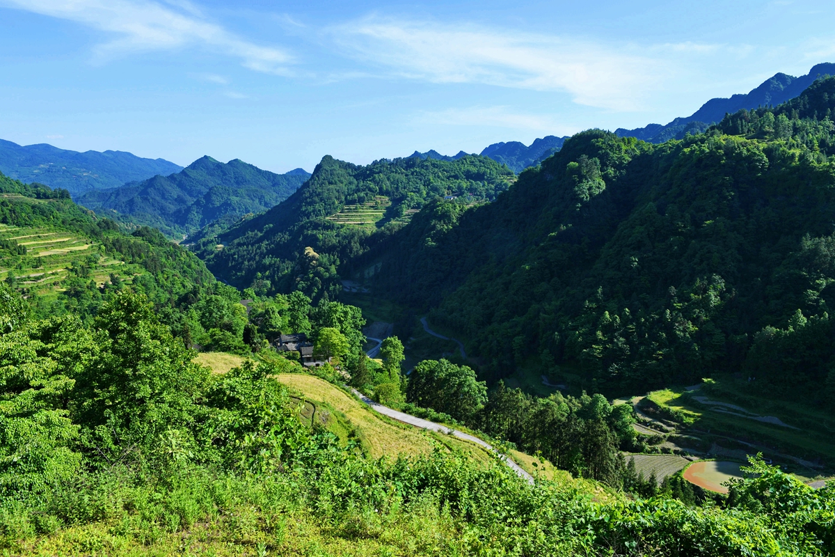 龙凤春色