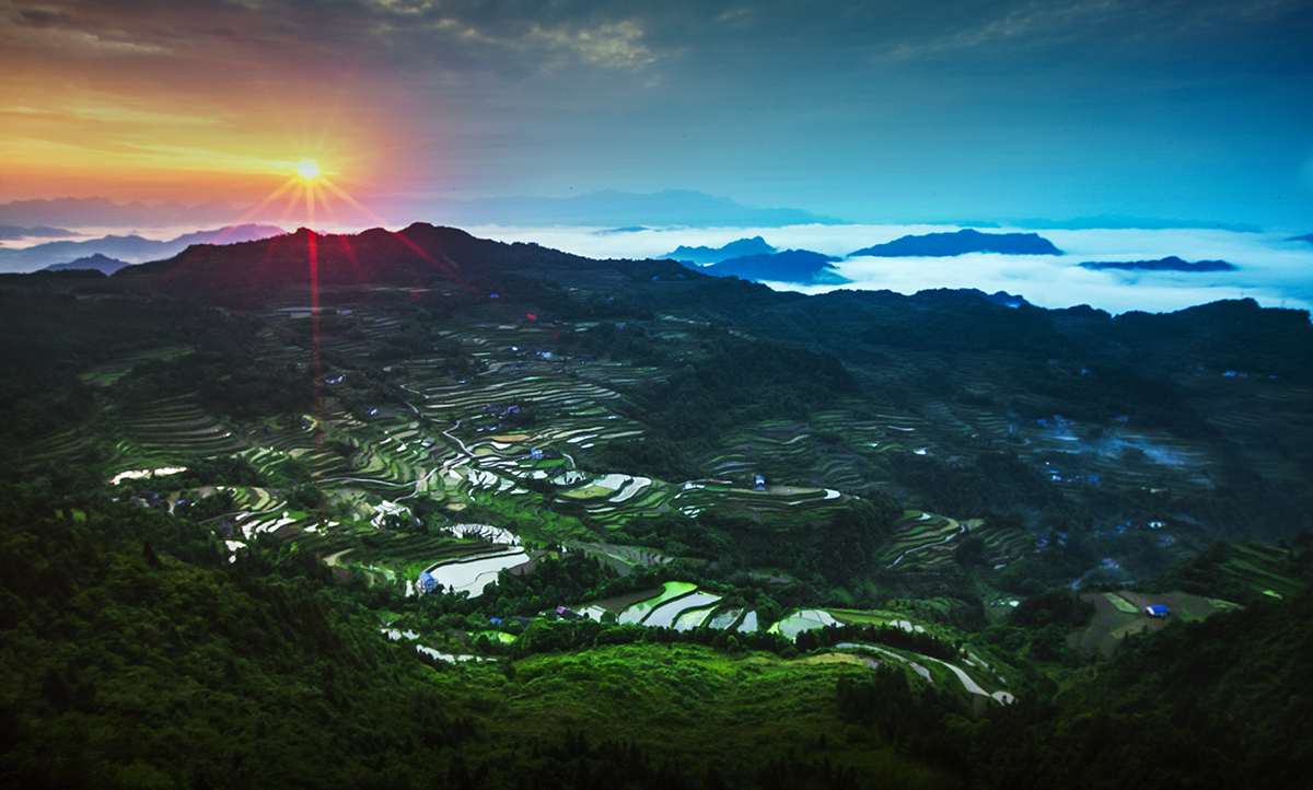龙凤全景图1