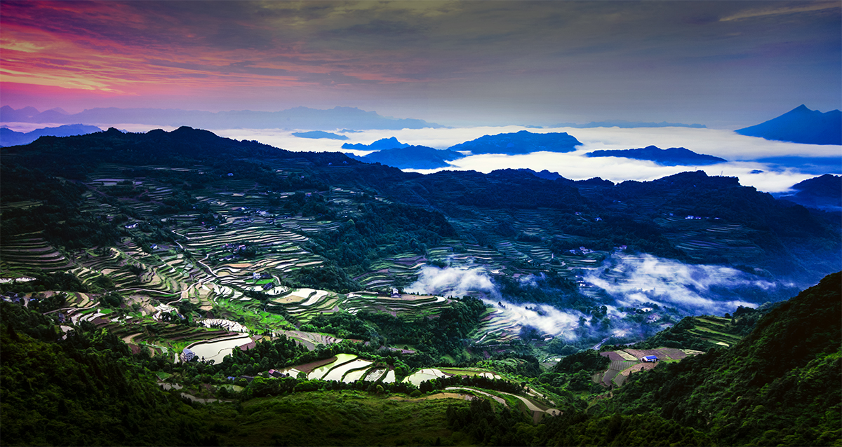 龙凤全景图4