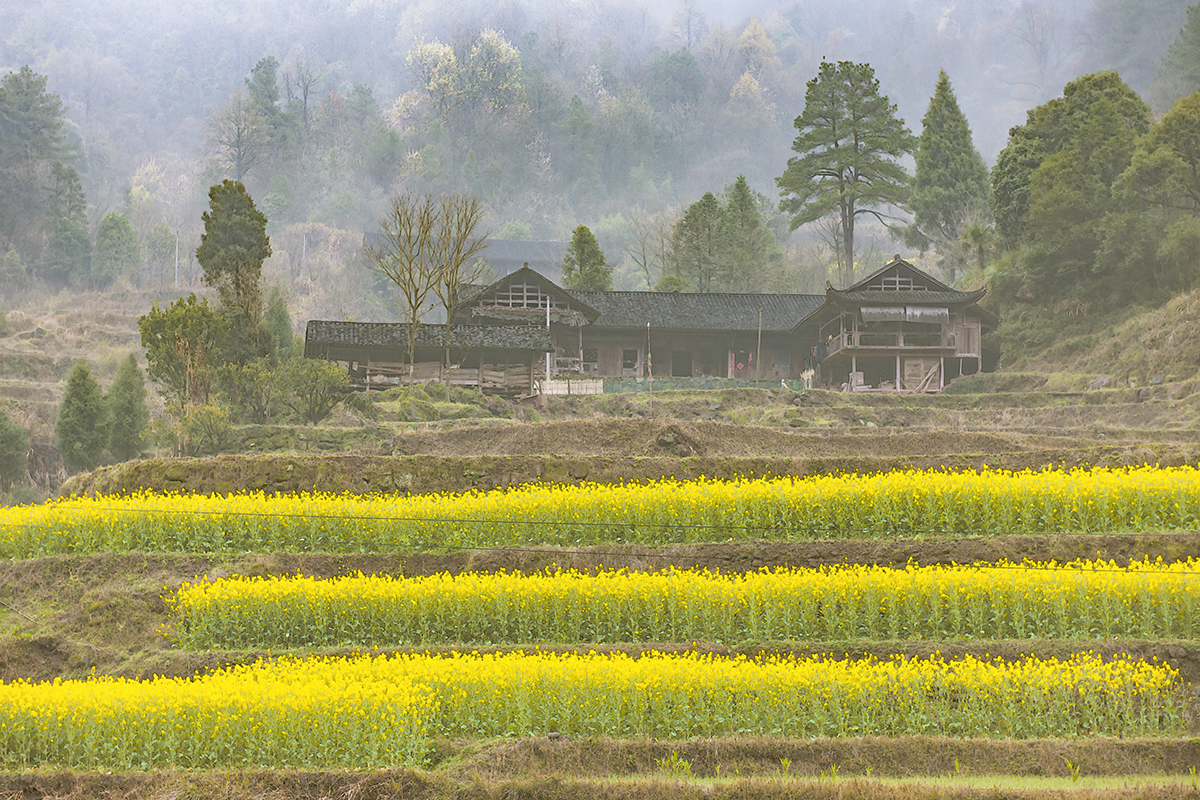 乡村