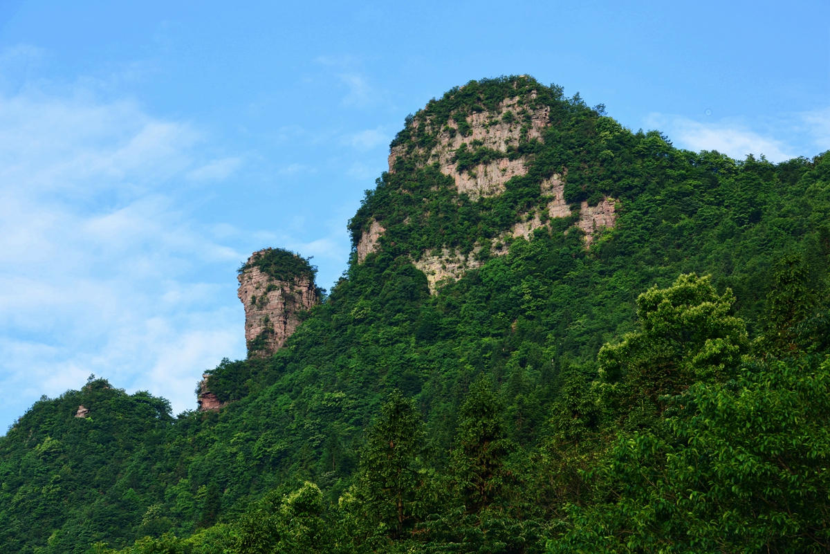 抱子岩
