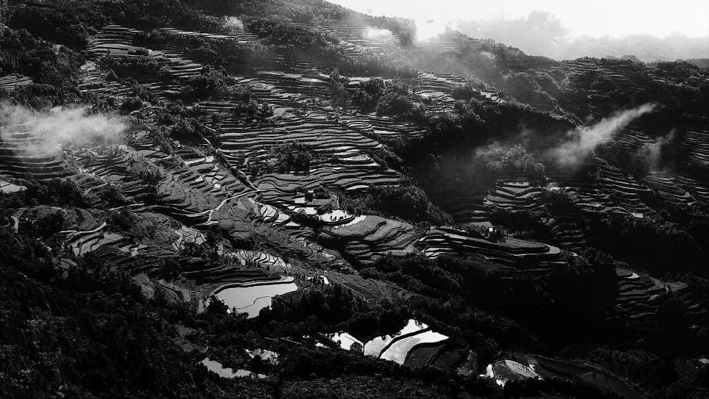 水墨龙凤村