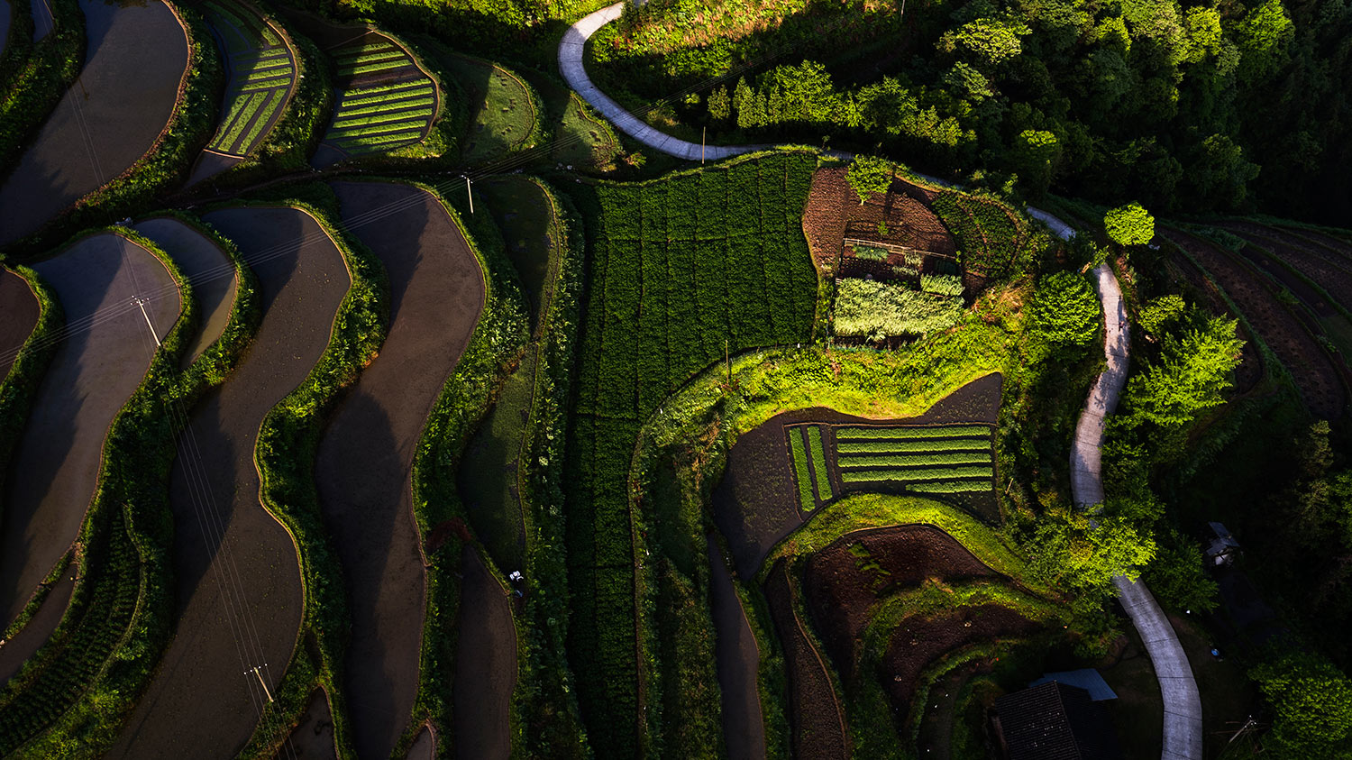 乡间田园
