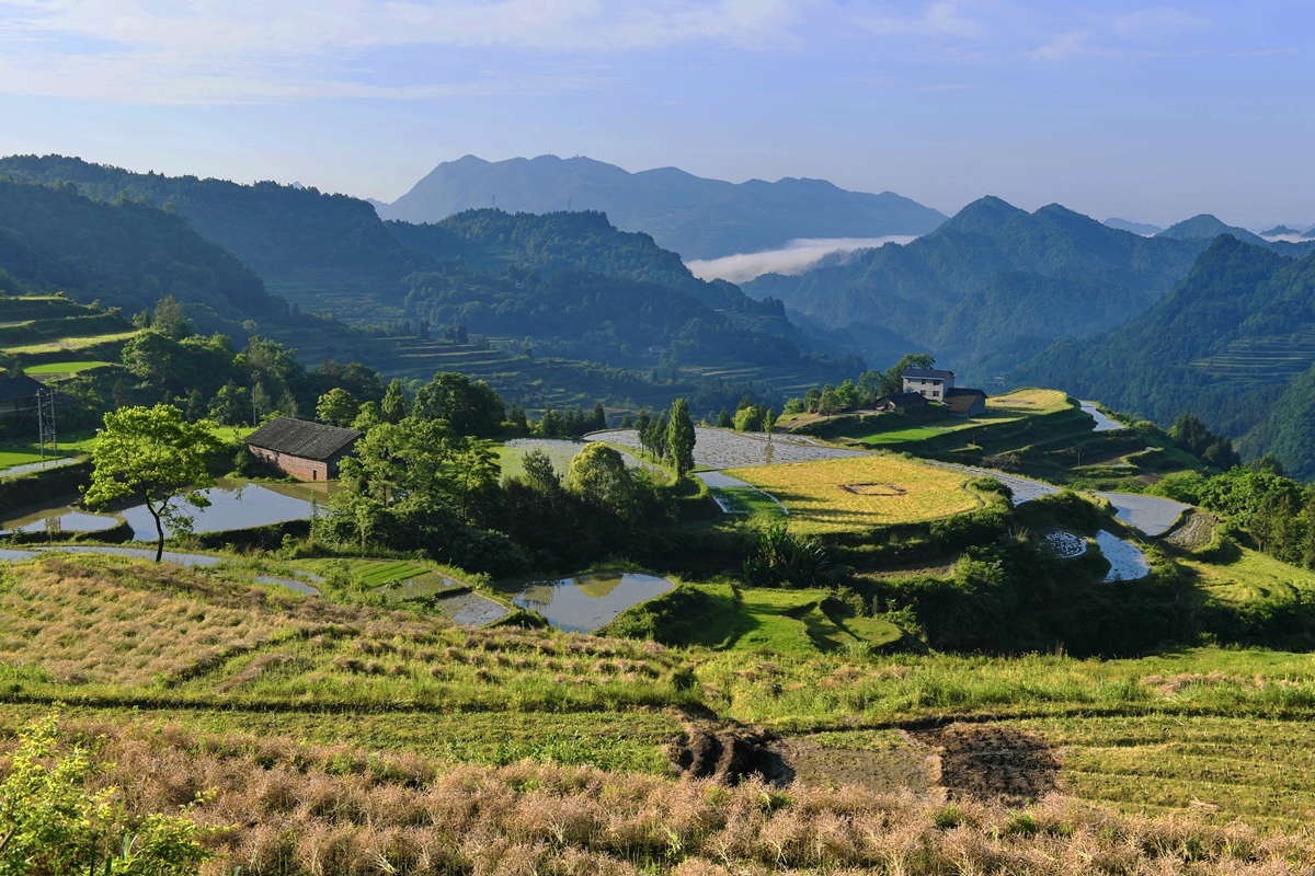 龙凤梯田