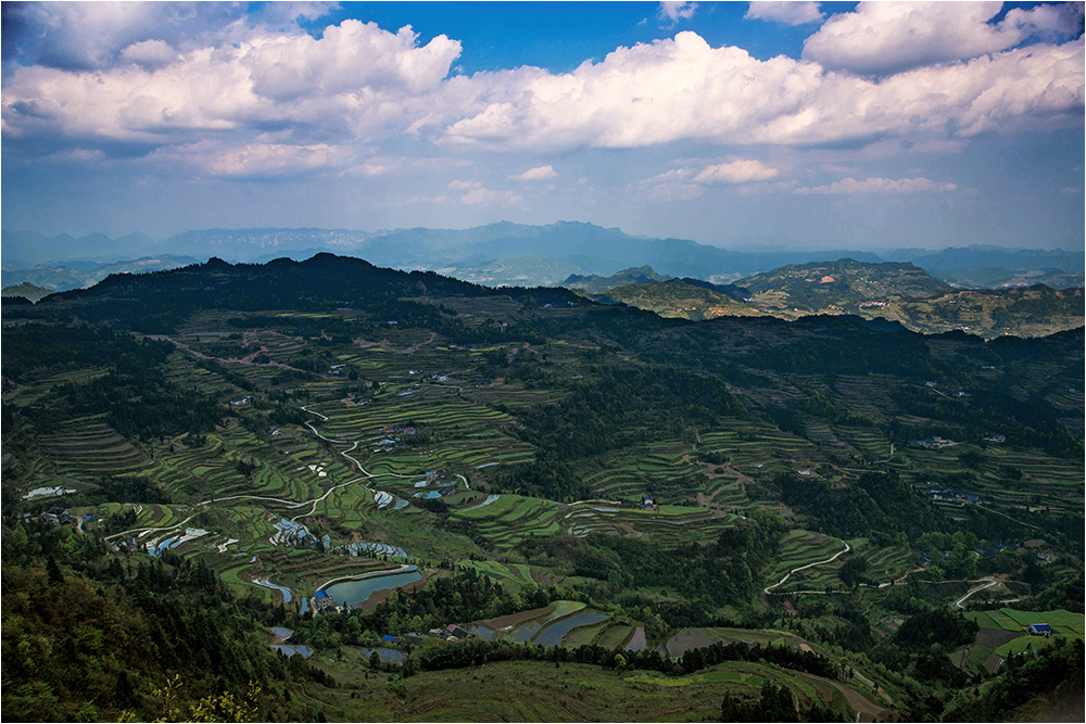 龙凤梯田