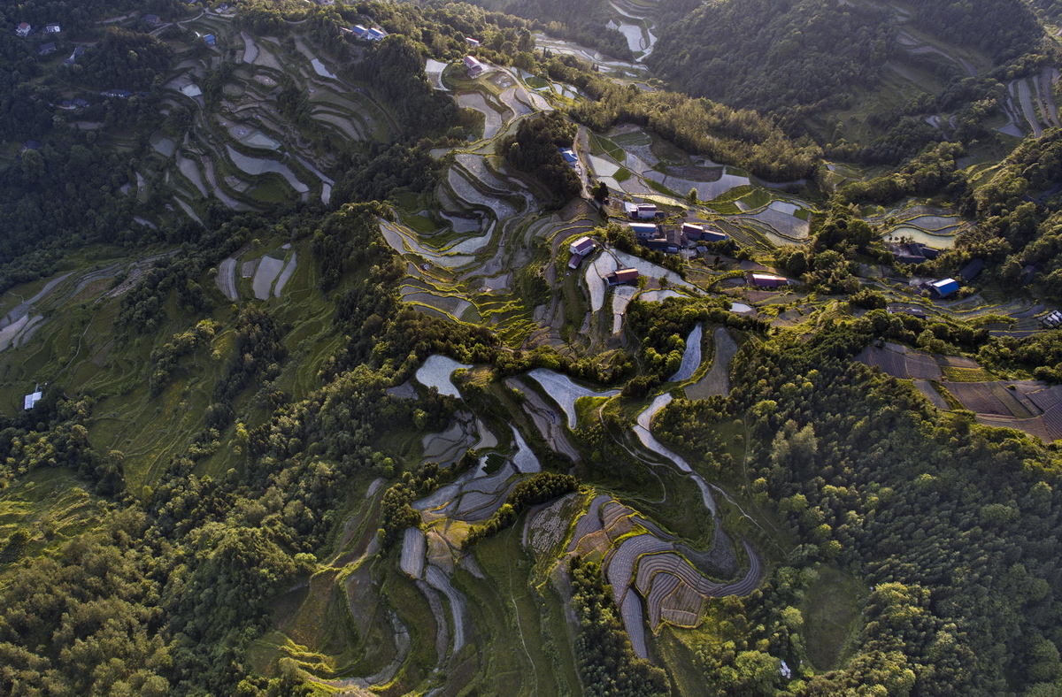 魅力龙凤俯瞰02