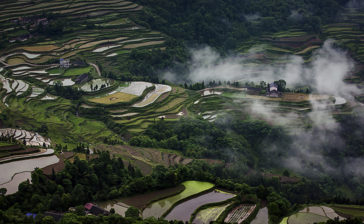 云雾小景2