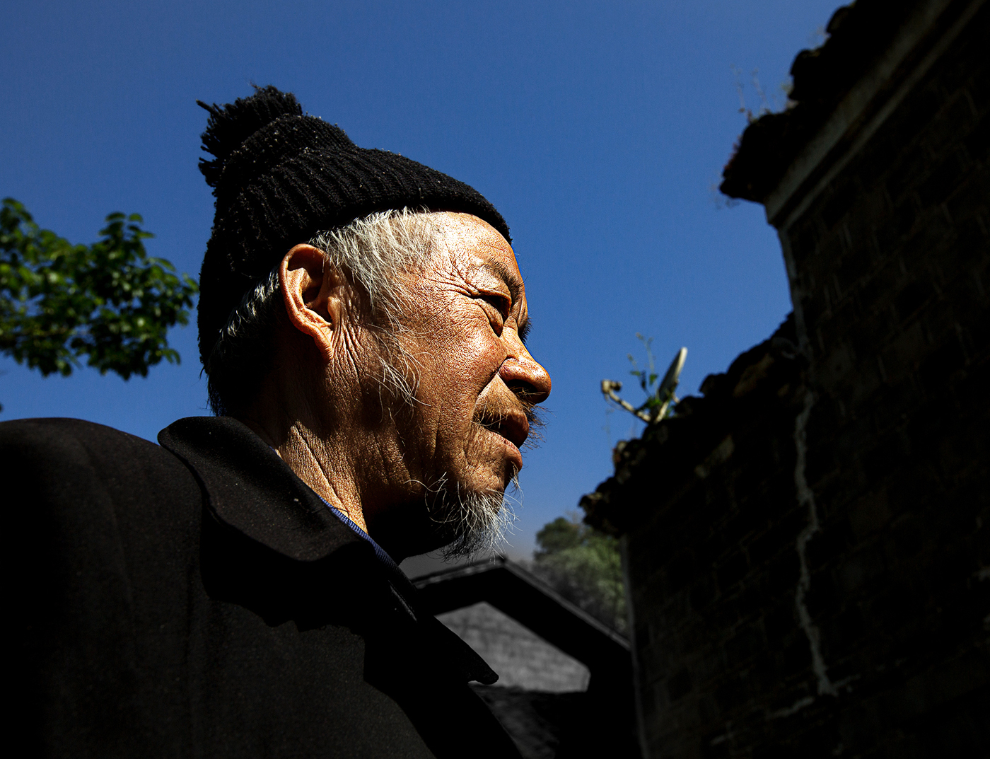 与远古对话